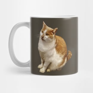Orange and White Short Haired Cat Mug
